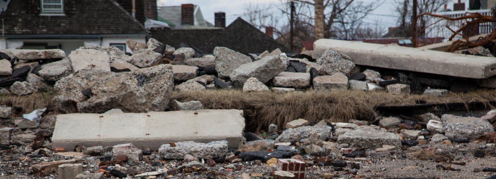 art-of-sandy-mo-seagate 2-27.jpg